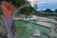 Poring Hotspring