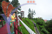 Bukit Larut - Taiping - Perak