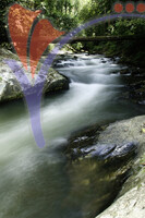 Royal Belum National Park