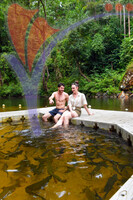 Kelah Sanctuary Kenyir Lake Terengganu