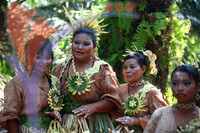 Pulau Carey Mah Meri