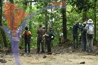 Fraser's Hill International Bird Race