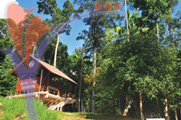 Hutan Lipur