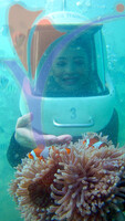 Sea Walking