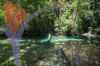 Crystal Water in Melinau River,gunung Mulu