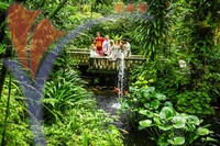 Kuala Lumpur Butterfly Park