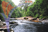 Kelah Santuary