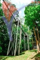 Canopy Walk Guar Chenderai , Perlis
