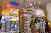 Cat Museum