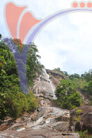 Gunung Stong