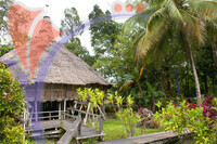 Sarawak Cultural Village