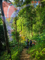 Bengoh Dam Scenery, Boat Riding And Nature Hiking