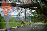 Taiping Lake Garden