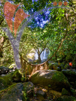 Susung Waterfall - Jurassic Wold Waterfall