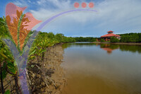 Kina Benuwa Wetland