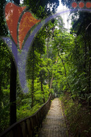 Bukit Nanas - Kuala Lumpur