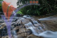 Lata Kinjang