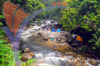 Sungai Sedim