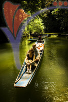 Eco & Agro Tourism - Mulu National Park Sarawak
