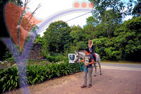 Island Horses - Langkawi