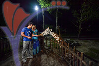 Night Safari Zoo Taiping , Perak