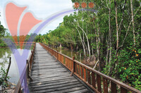 Setiu Wetlands