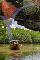 Kilim River Mangrove Tour, Langkawi, Kedah