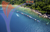 Snorkeling Group Activity