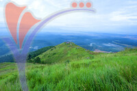 Bukit Broga