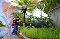 Muzium Padi