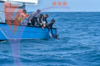 The Royal Pahang Billfish International Challenge
