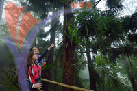 Kinabalu Park