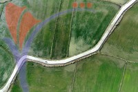 Sawah Padi