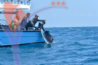 The Royal Pahang Billfish International Challenge