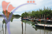 Setiu Wetlands