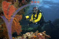 Tioman Island - Pahang