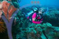Tenggol Island - Terengganu