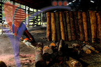 Charcoal Factory