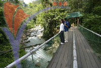 Poring Hot Spring