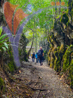 Paku Rock Maze Garden