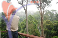 Danum Valley