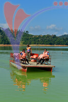 Tasik Pedu
