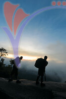 Gunung Stong