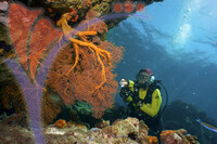 Tioman Island - Pahang