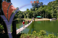 Royal Belum National Park