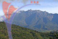 Gunung Kinabalu