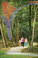 Hutan Bandar