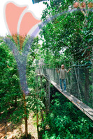 Canopy Walk Guar Chenderai , Perlis