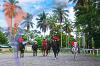 As Equestrian