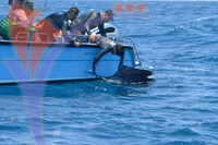 The Royal Pahang Billfish International Challenge